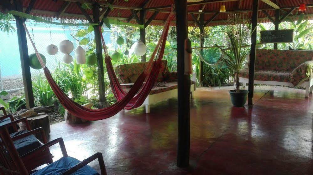 Отель La Casona De Тортугеро Экстерьер фото